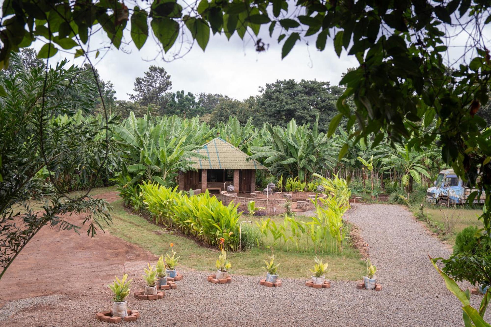 Mount Kilimanjaro 360 View Cottage Uru Екстериор снимка